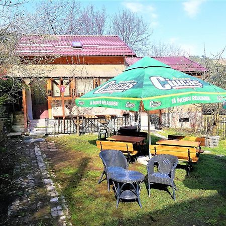 Leyla Guesthouse Castel Brasov Bagian luar foto