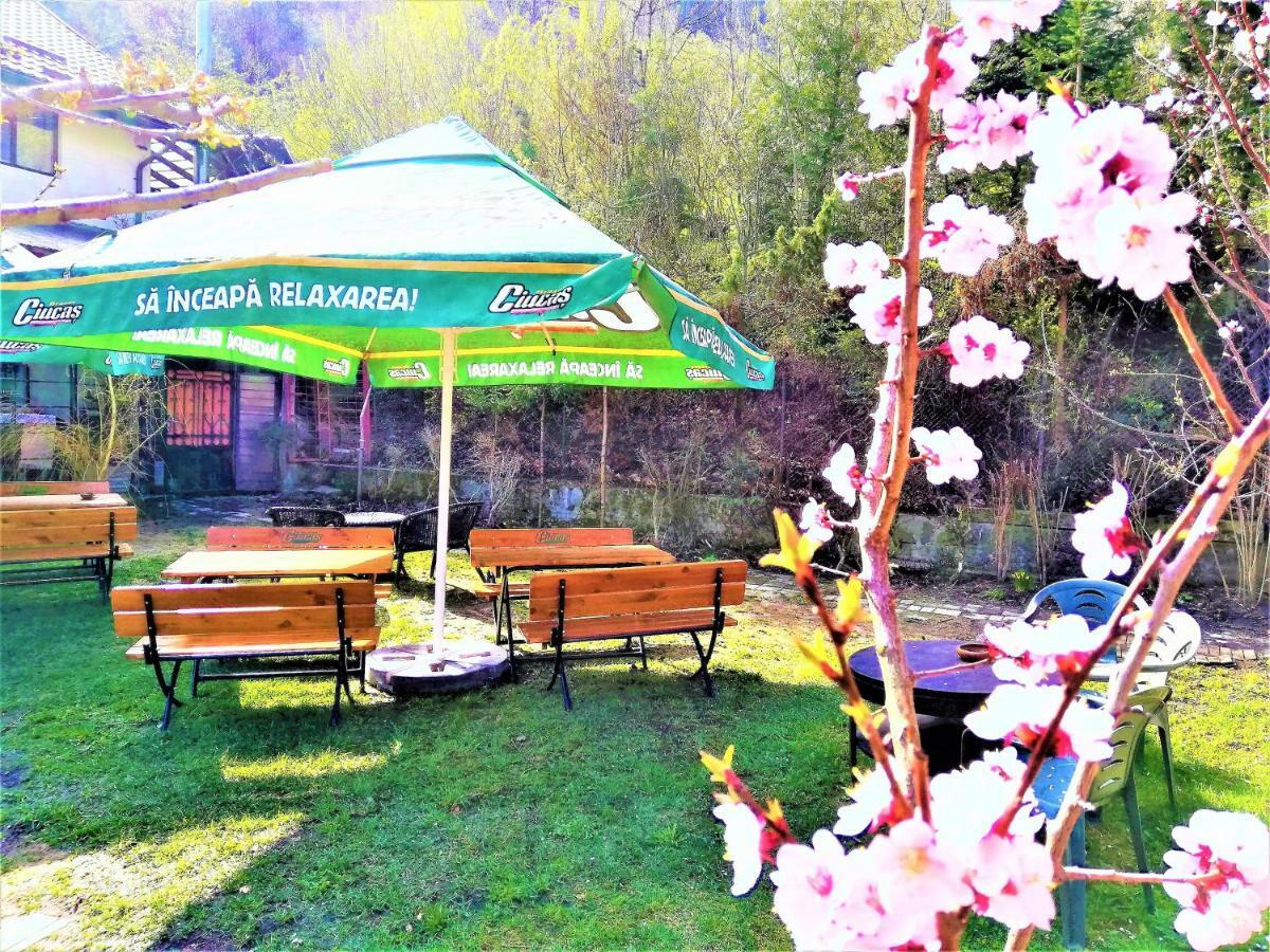 Leyla Guesthouse Castel Brasov Bagian luar foto