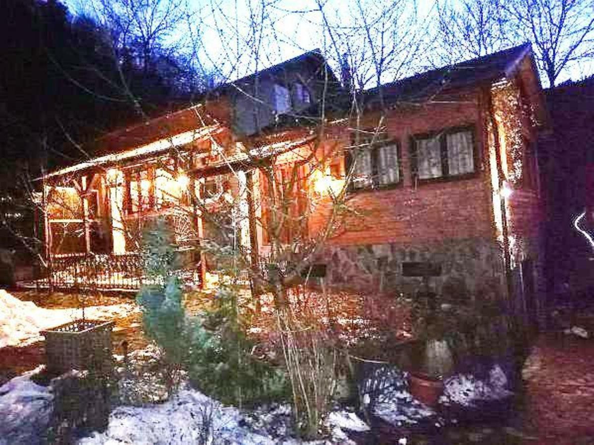 Leyla Guesthouse Castel Brasov Bagian luar foto