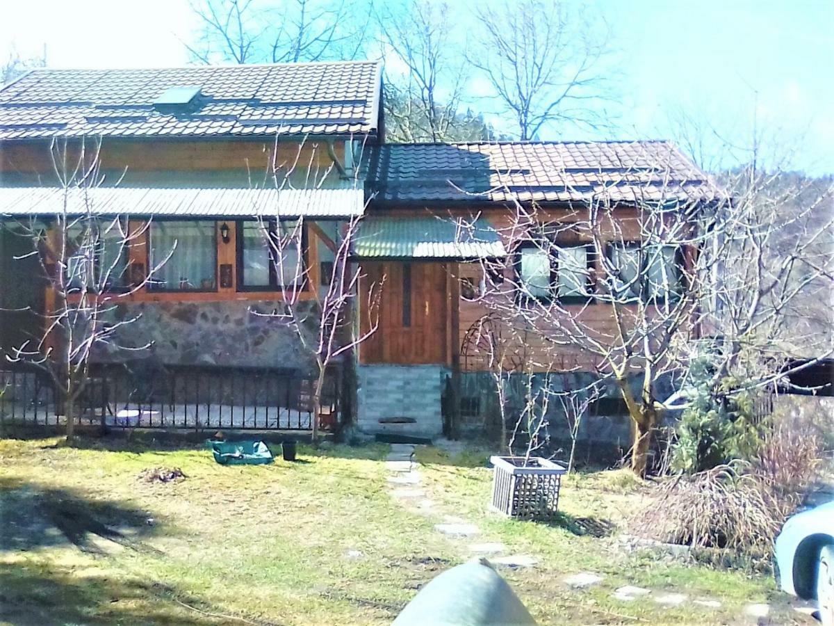 Leyla Guesthouse Castel Brasov Bagian luar foto