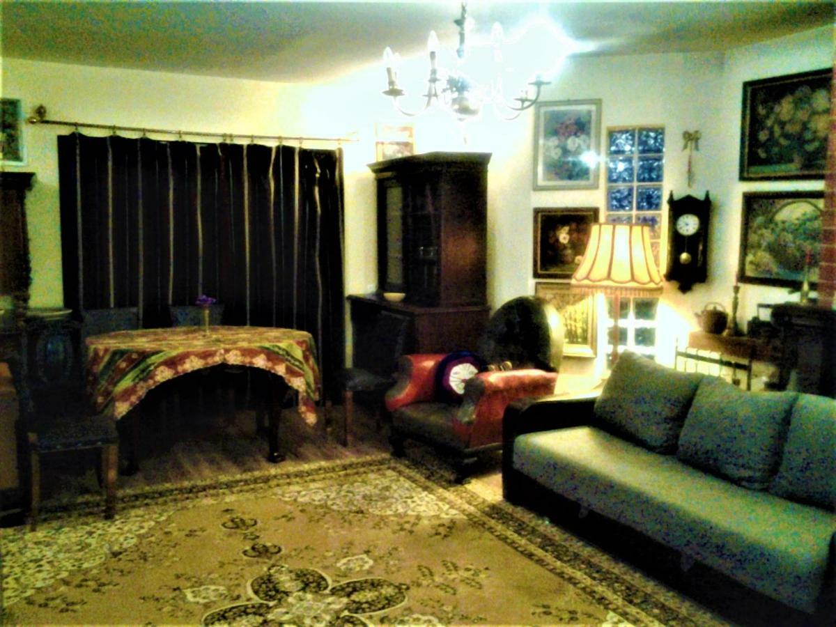 Leyla Guesthouse Castel Brasov Bagian luar foto