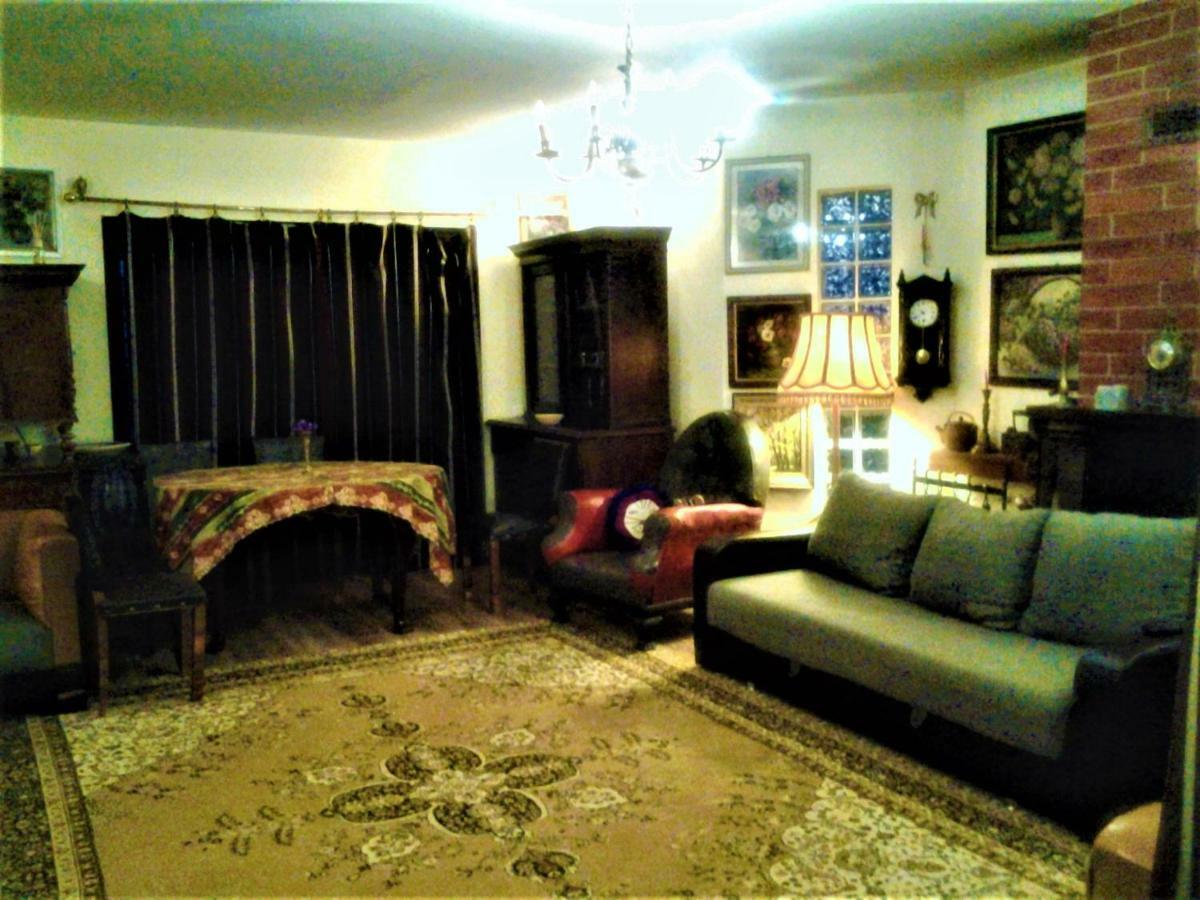 Leyla Guesthouse Castel Brasov Bagian luar foto