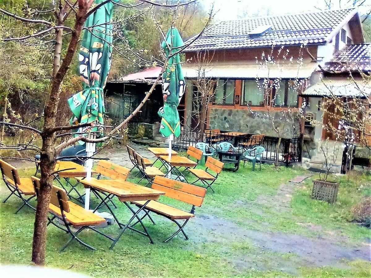 Leyla Guesthouse Castel Brasov Bagian luar foto