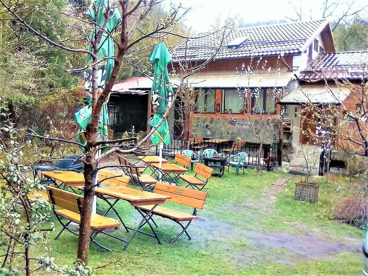Leyla Guesthouse Castel Brasov Bagian luar foto