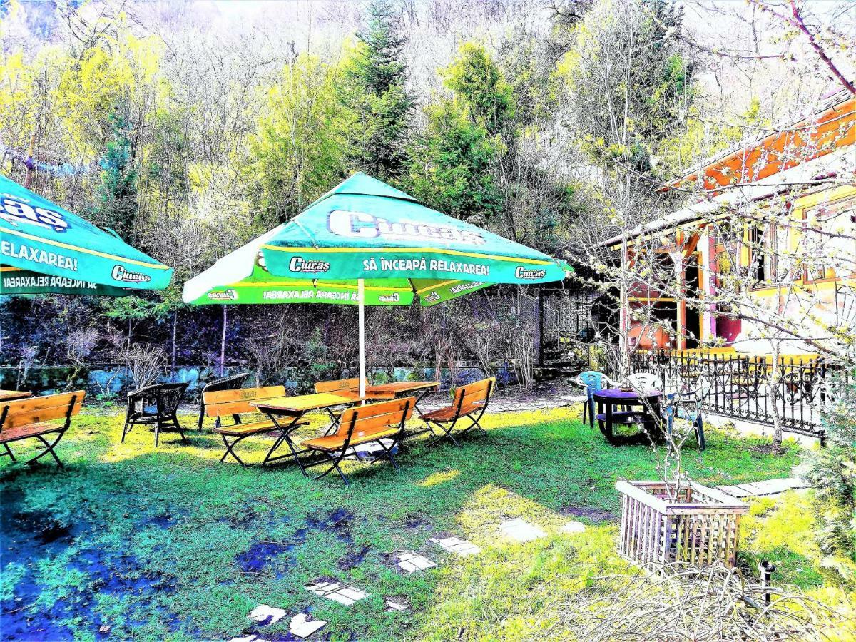 Leyla Guesthouse Castel Brasov Bagian luar foto