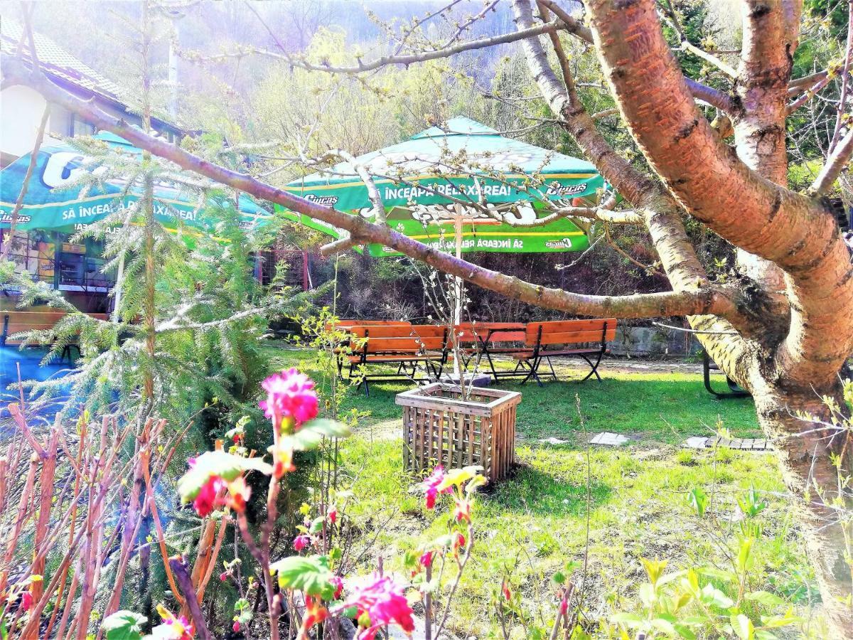 Leyla Guesthouse Castel Brasov Bagian luar foto