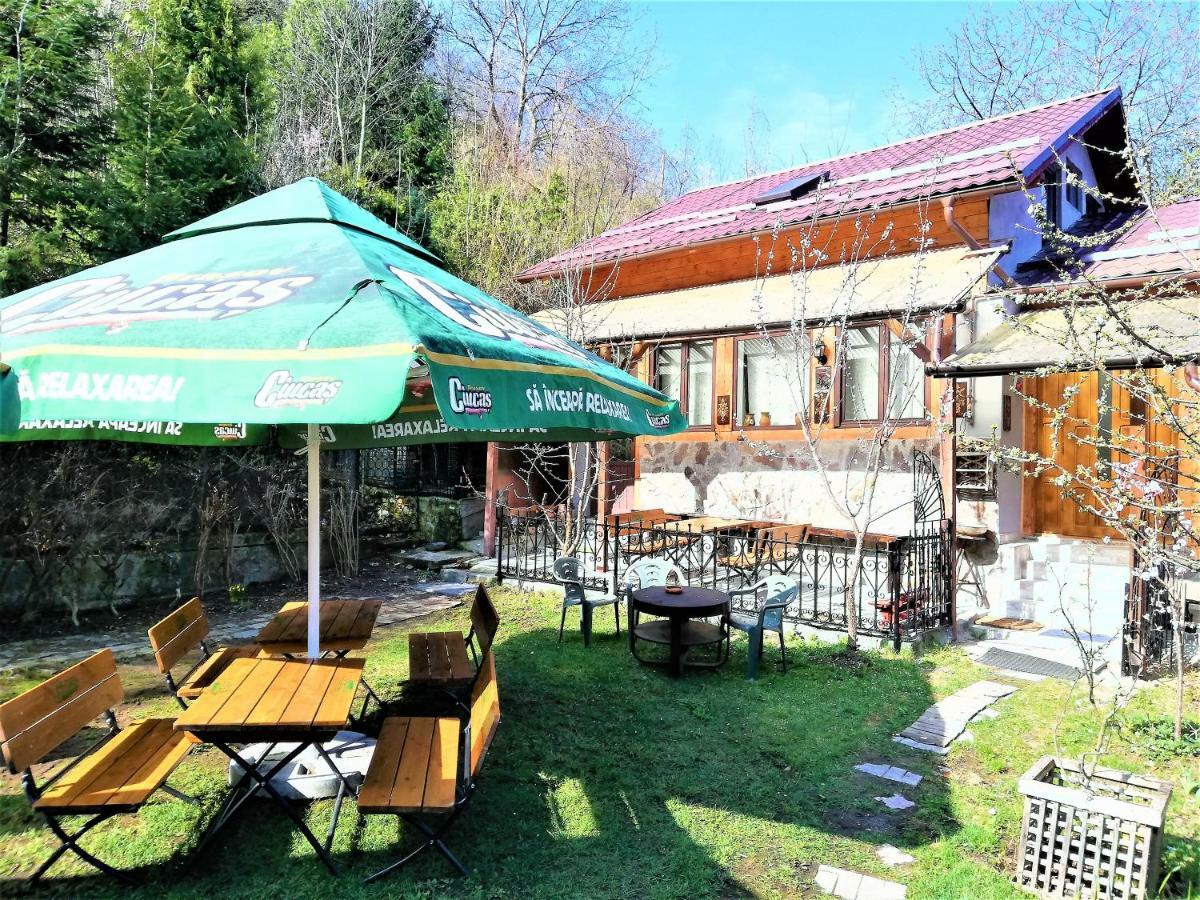 Leyla Guesthouse Castel Brasov Bagian luar foto