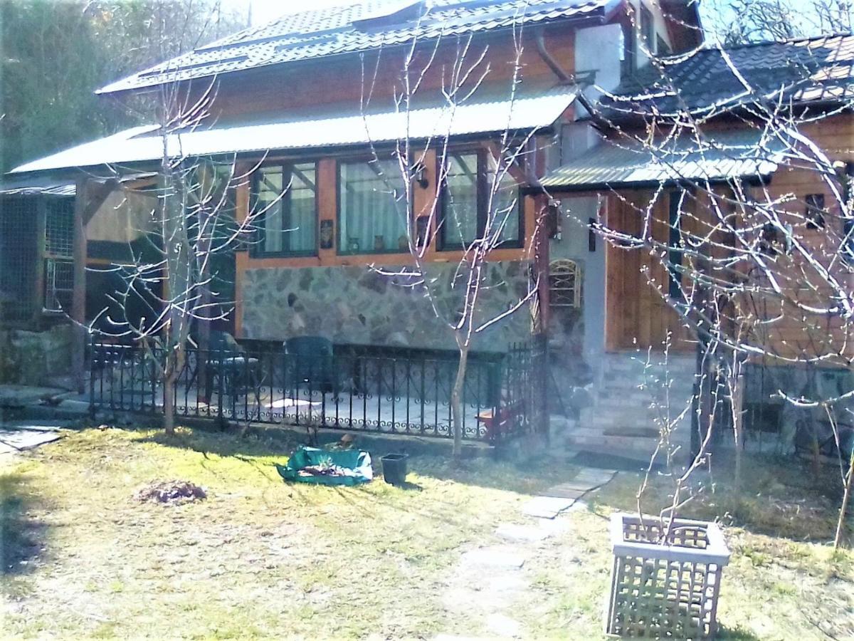 Leyla Guesthouse Castel Brasov Bagian luar foto