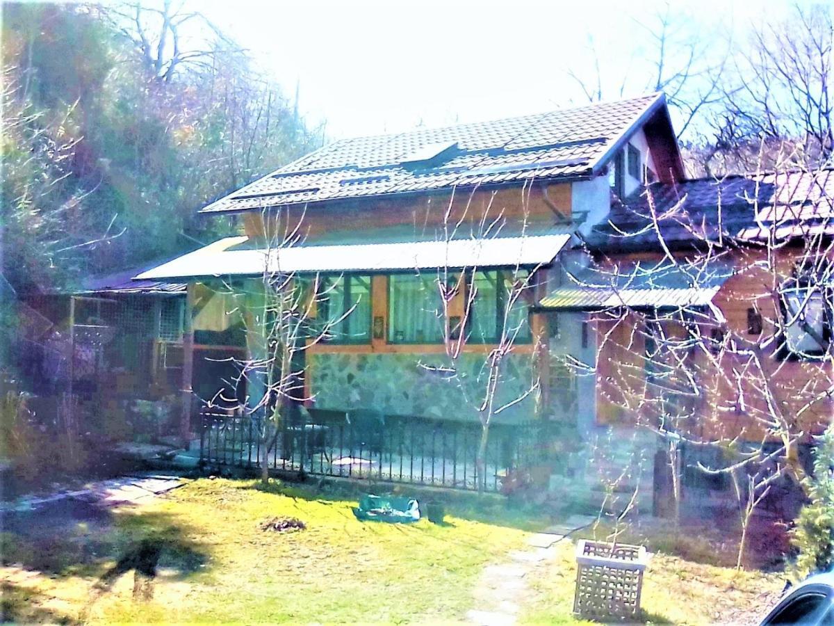 Leyla Guesthouse Castel Brasov Bagian luar foto