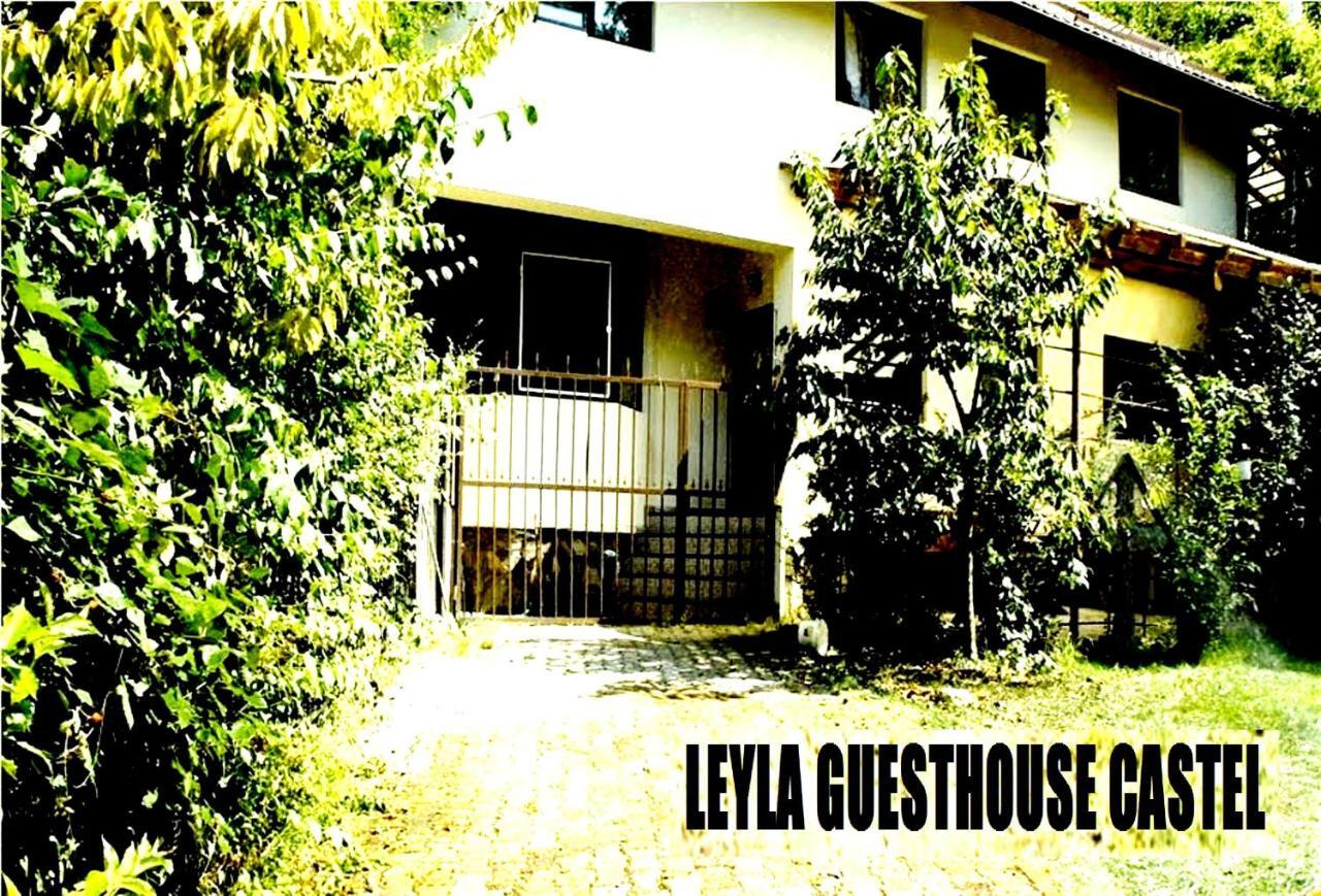 Leyla Guesthouse Castel Brasov Bagian luar foto