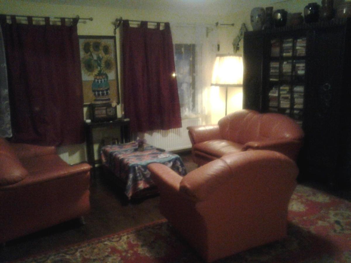 Leyla Guesthouse Castel Brasov Bagian luar foto